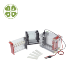 2-D Gel Electrophoresis Cell